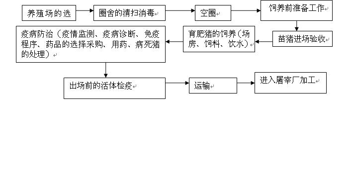 政策性生猪养殖保险 生猪养殖保险多少钱